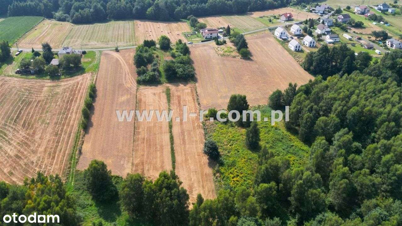 Atrakcyjna Działka W Sąsiedztwie Lasu-13