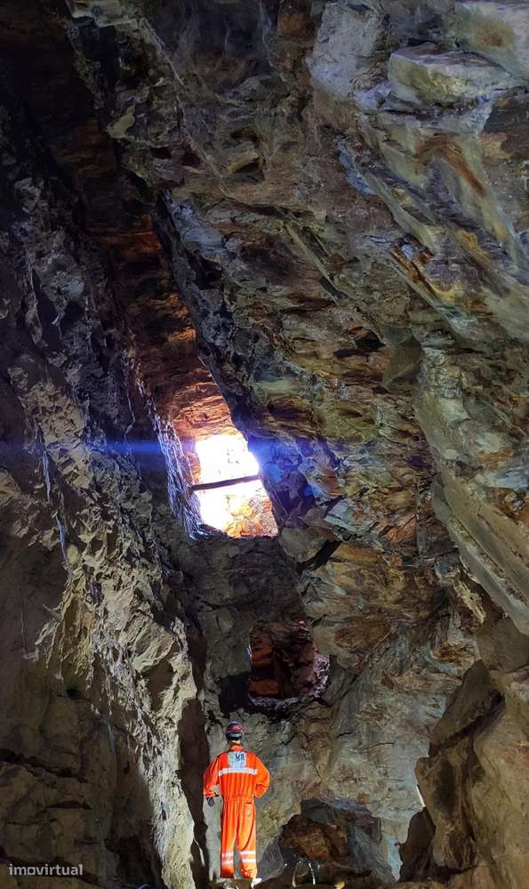 Quinta 5.3 ha, Covilhã-52