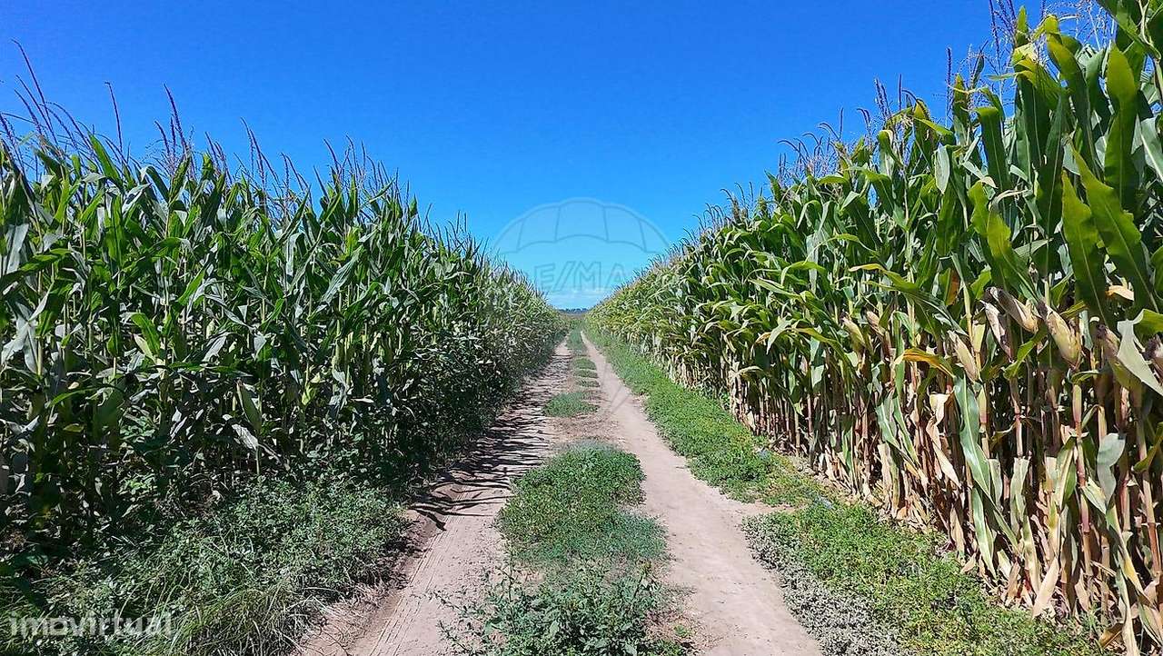 Terreno  para venda - Grande imagem: 4/6