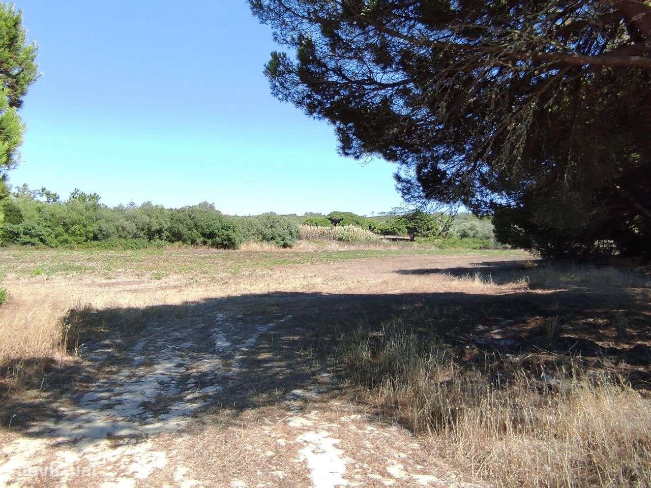 Terreno de 15.600m2 a minutos da Praia da Foz _ Meco, Sesimbra - Grande imagem: 4/4
