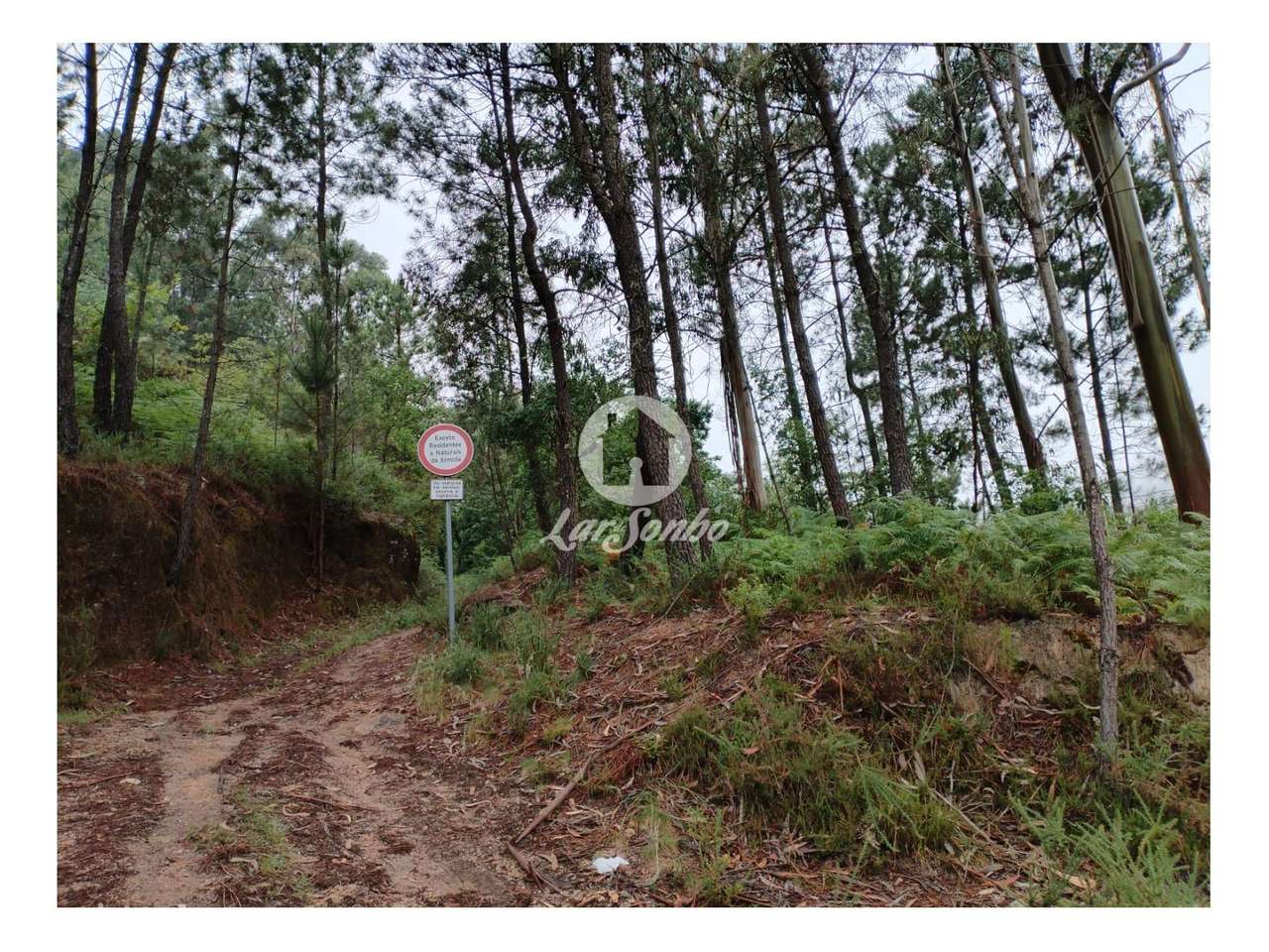 Terreno de 1100m² no Parque Natural do Gerês - Grande imagem: 4/10