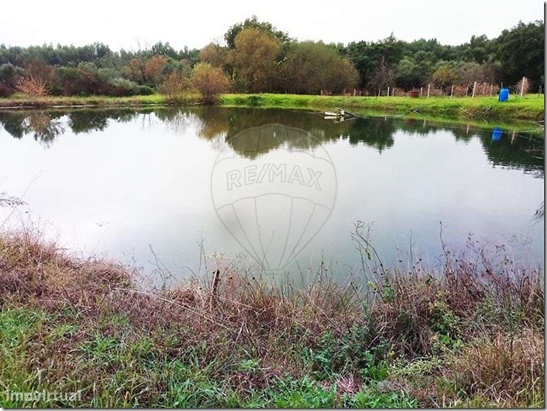 Quinta  para venda - Grande imagem: 2/38