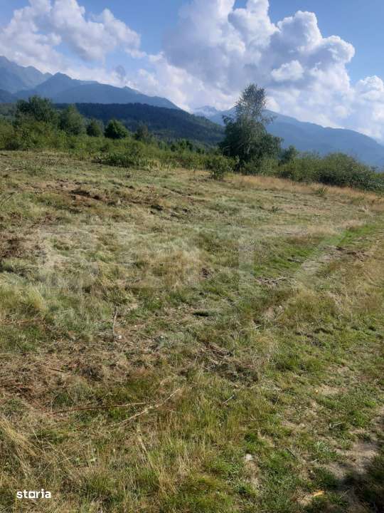 Teren extravilan 3300 mp, Cartisoara- Set - Imagine principală: 5/9