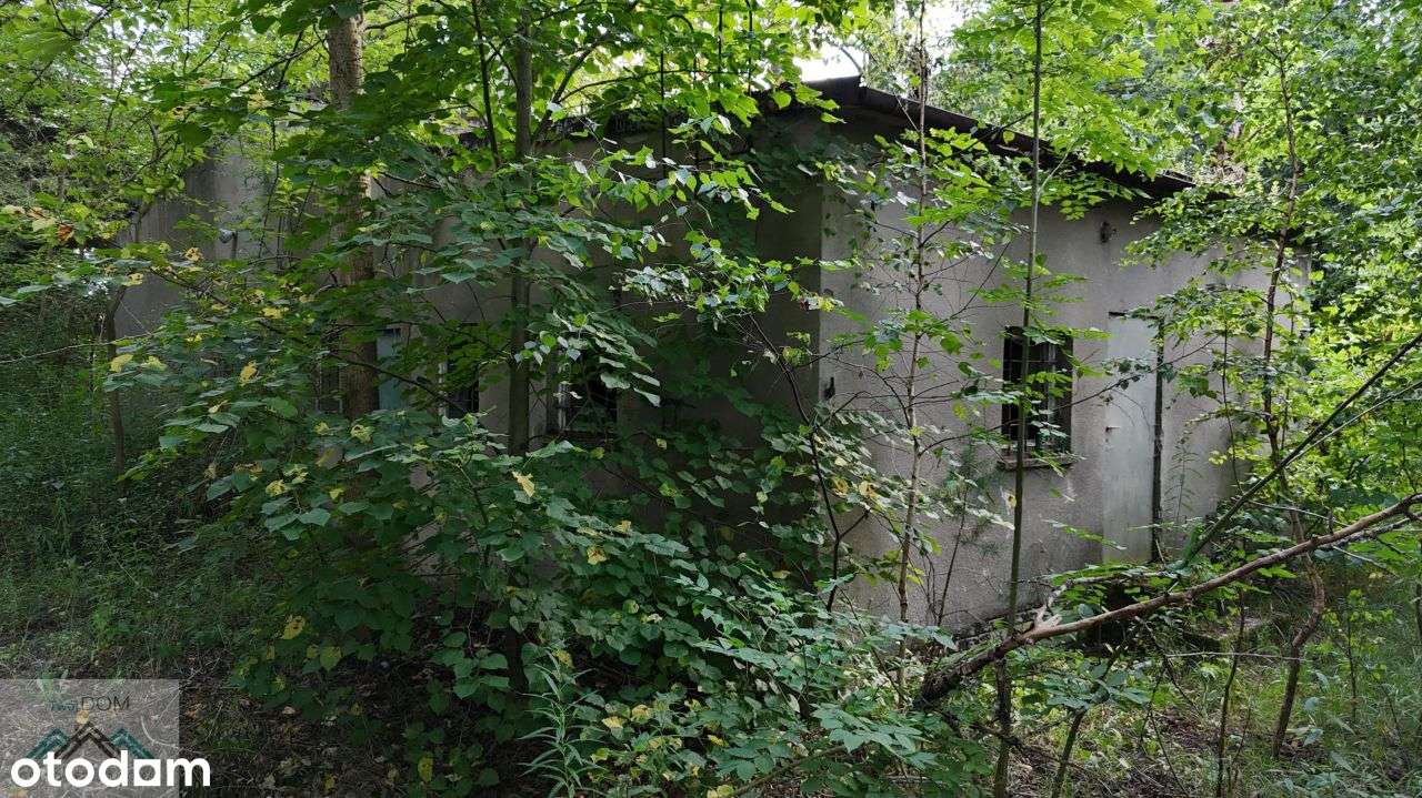 Działka pod usługi turystyki Bydlin gmina Klucze - Pełny obrazek: 4/6