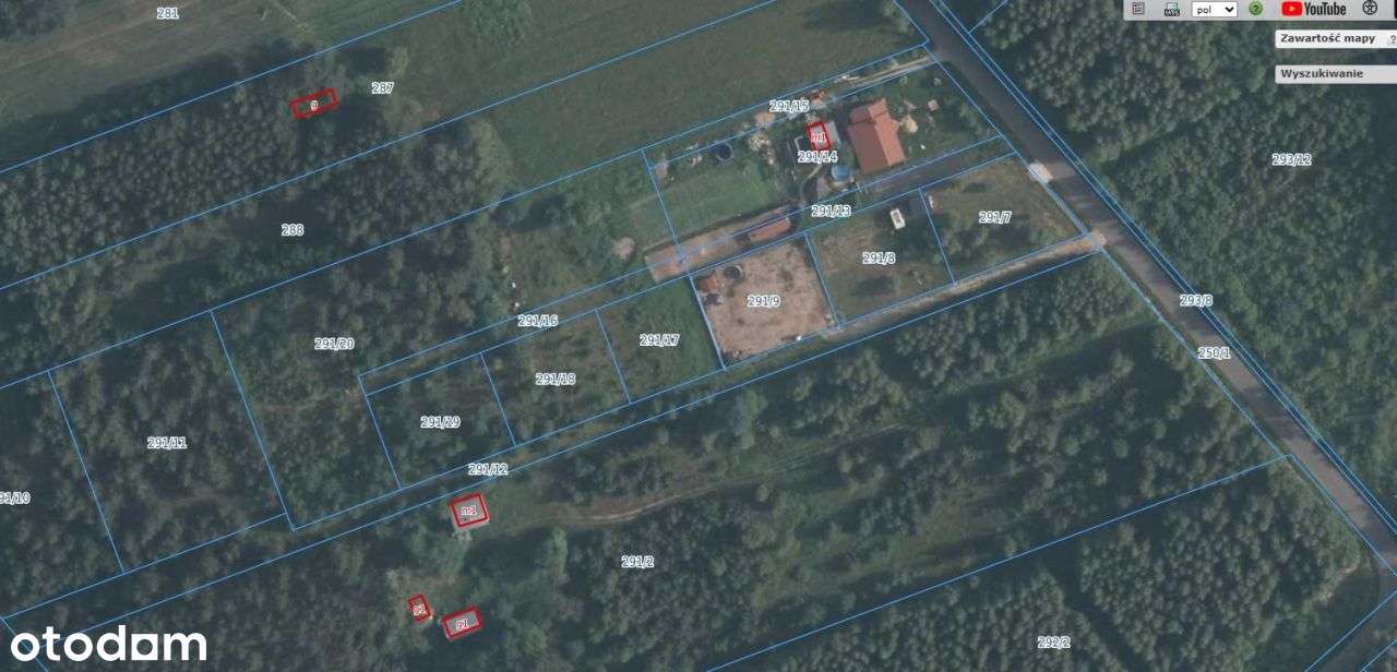 Urokliwa okolica czysty leśny klimat blisko miasta-1