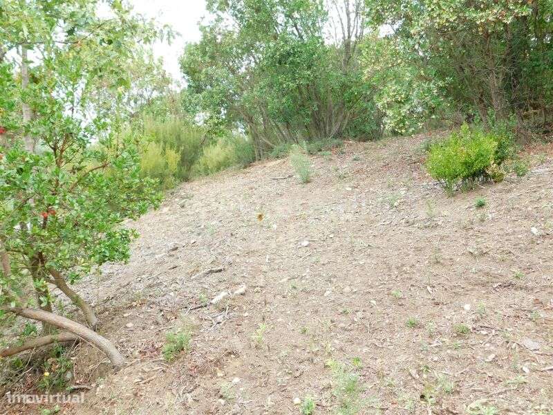 Terreno / Seia, Vila Cova à Coelheira - Grande imagem: 3/9