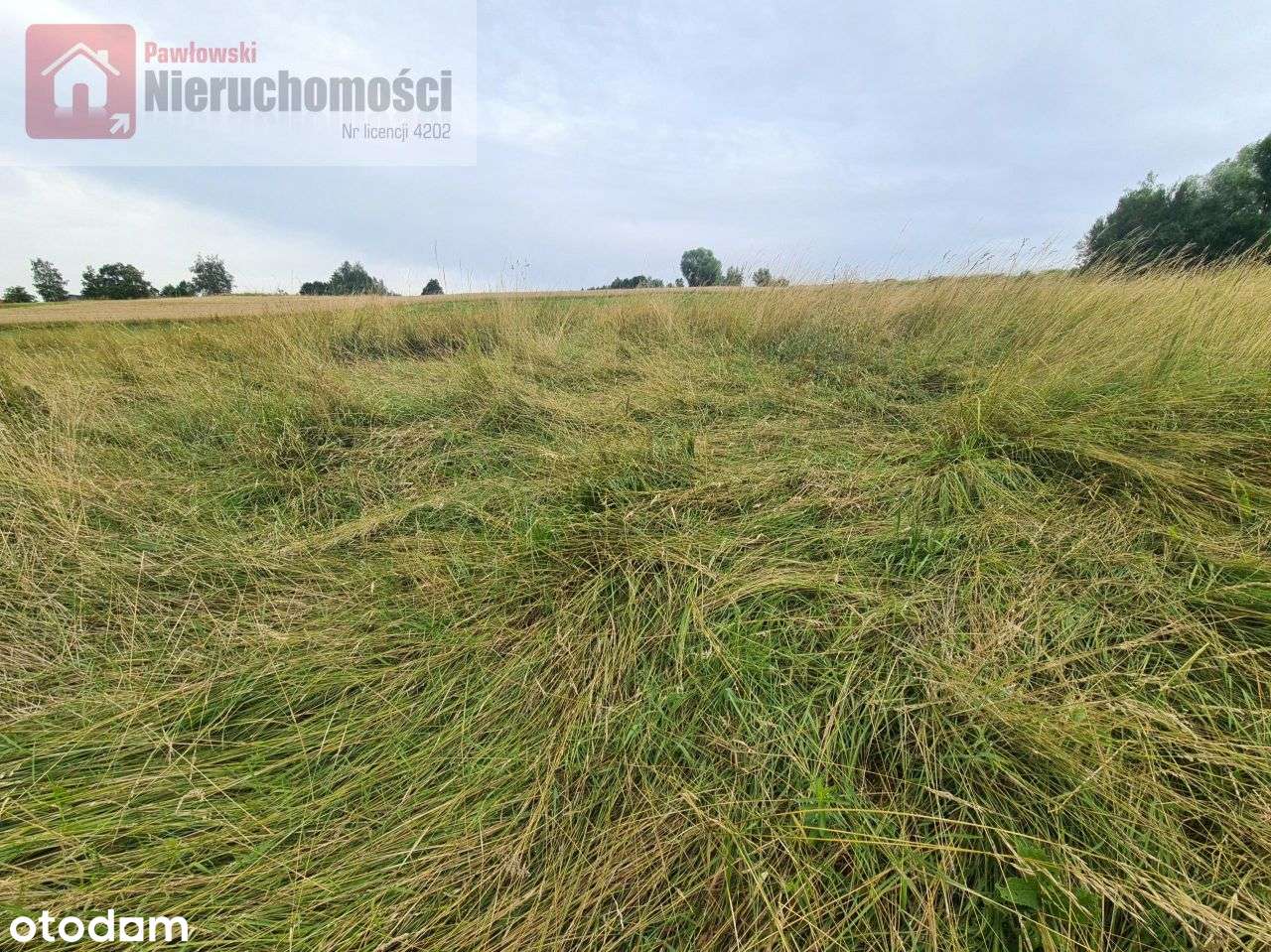 Działka, 978 m², Radziszów - Pełny obrazek: 5/6