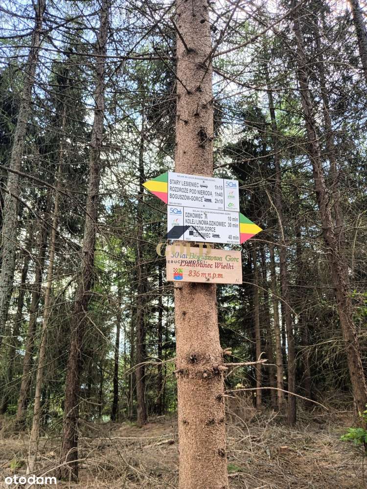 Widokowa działka - Pełny obrazek: 4/6