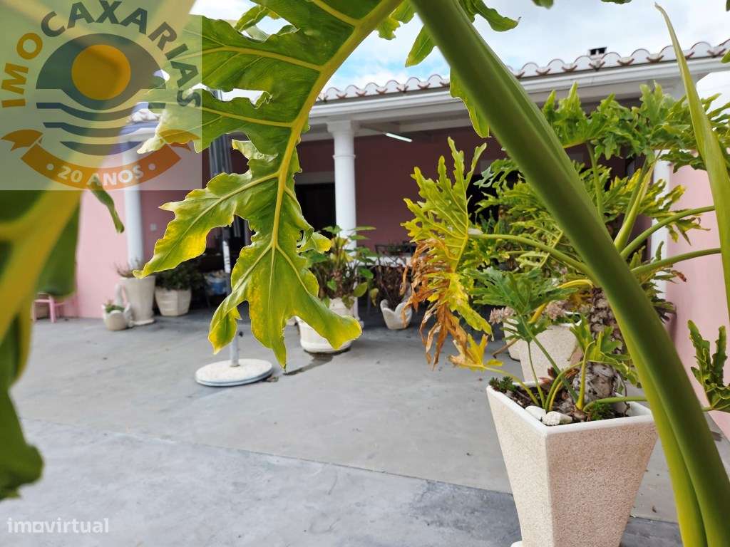 Magnífica moradia de rés do chão de tipologia T3-34