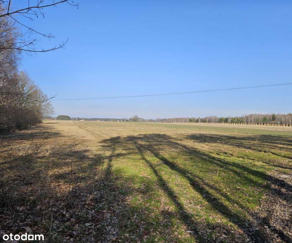 Udział w nieruchomości gruntowej - Podwody Kolonia, gm. Bełchatów - Pełny obrazek: 1/3