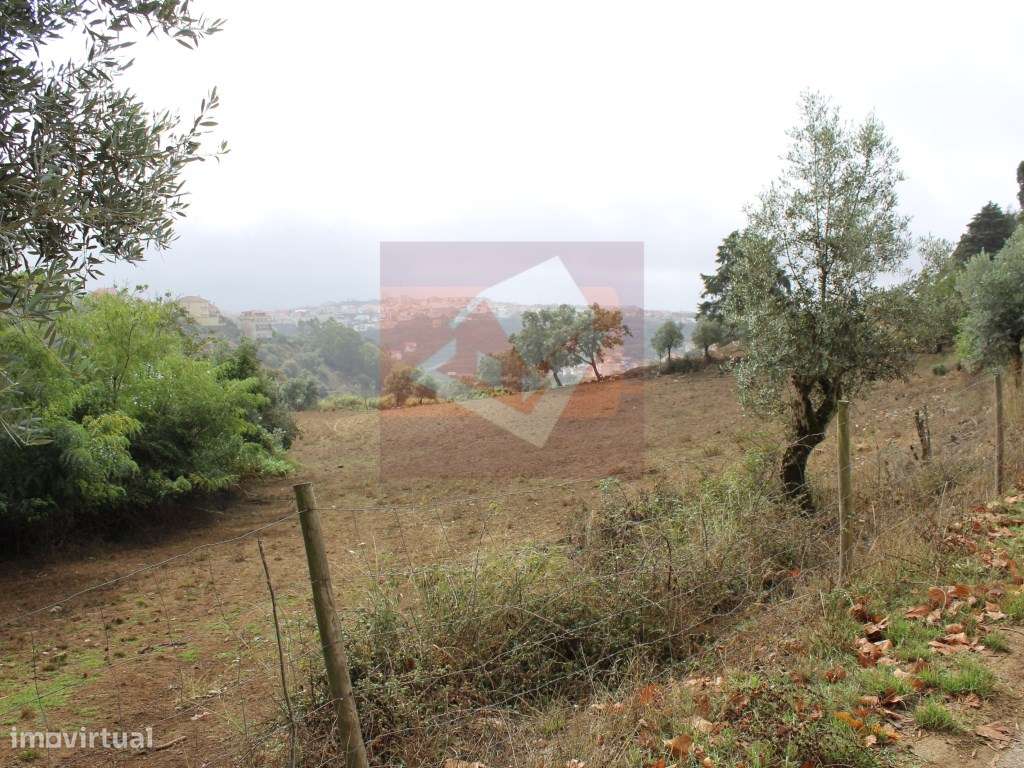 Terreno Rústico em Caneças-5
