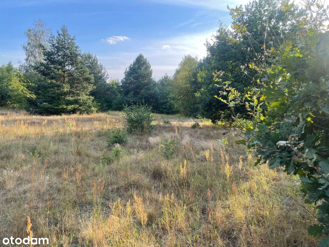 Sprzedam działkę bud-3000m-Stefanowo-gm.Lesznowola-9