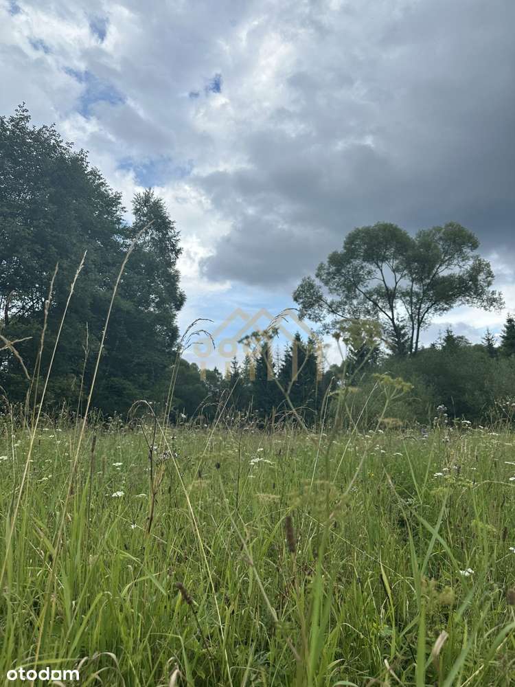 Bieszczady Dwernik Działka 4,38ha - Pełny obrazek: 4/19