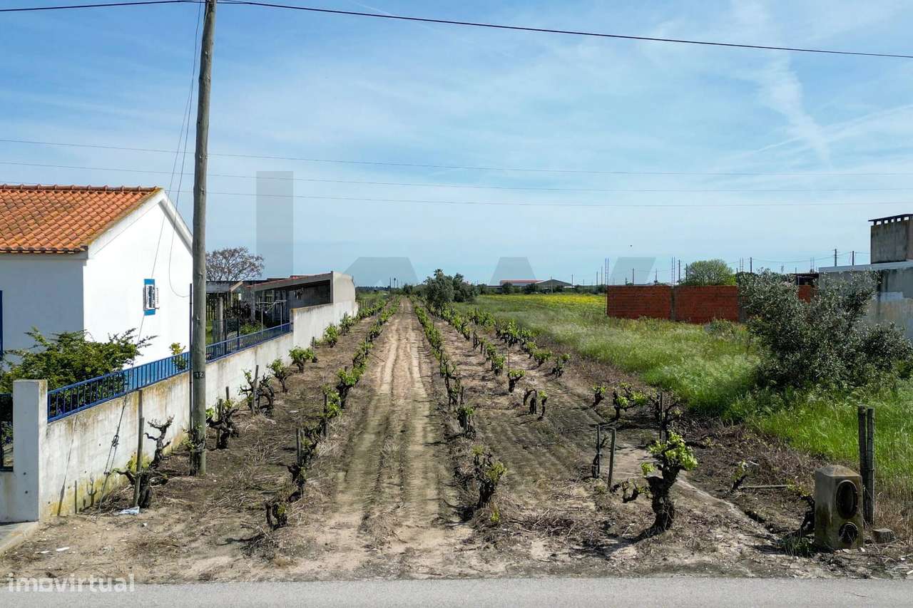 Terreno - Benfica do Ribatejo - Grande imagem: 2/12