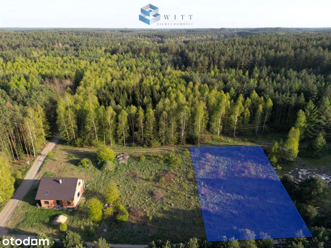 Działka z warunkami zabudowy, otoczona lasami - Pełny obrazek: 5/16