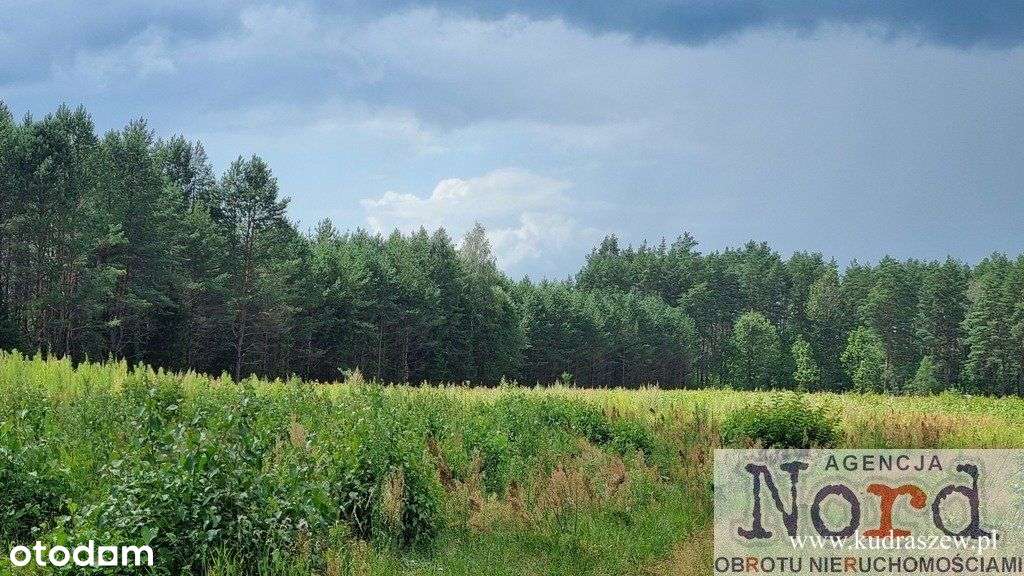 Działka, 16 000 m², Rudawka - Pełny obrazek: 4/13