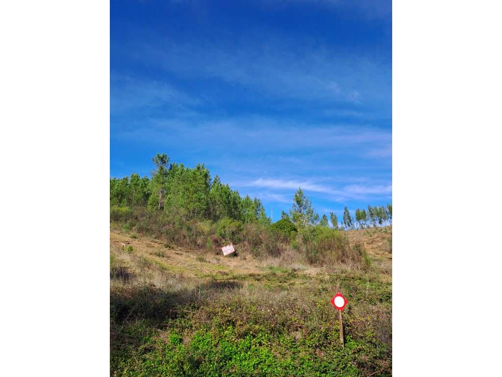 Junto à Barragem do Vergancinho - Estrada Municipal 536. Junto à es... - Grande imagem: 3/8