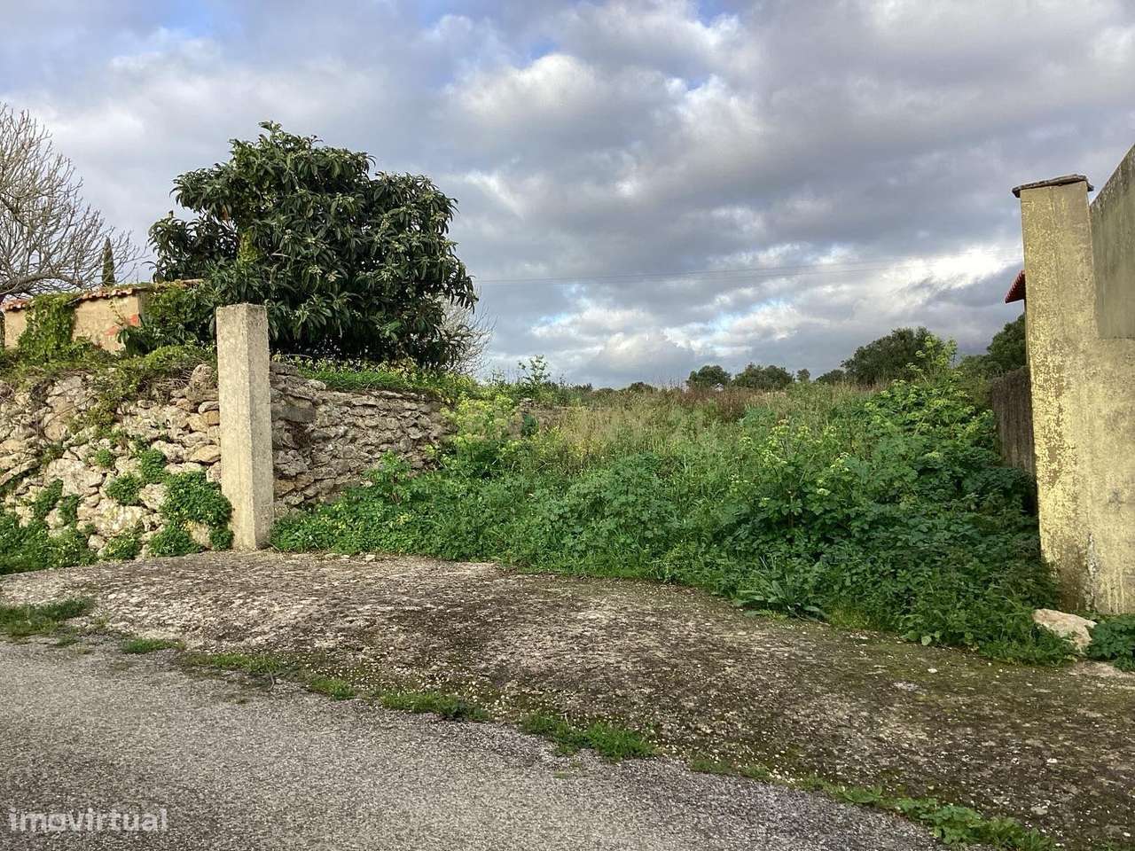 Excelente terreno rústico na localidade de Catribana. - Grande imagem: 5/57