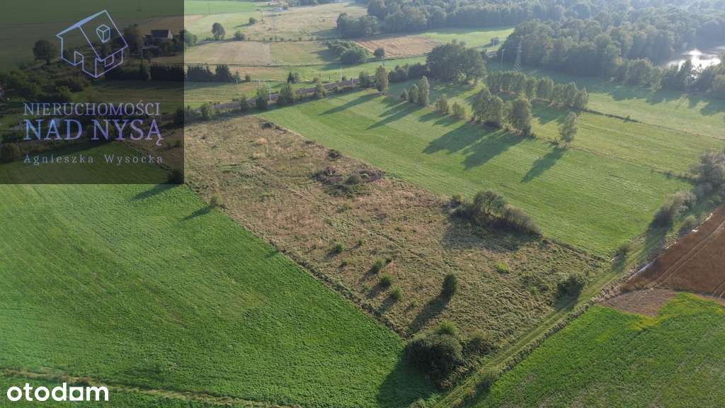 Działka Inwestycyjna Pieńsk - Pełny obrazek: 5/8