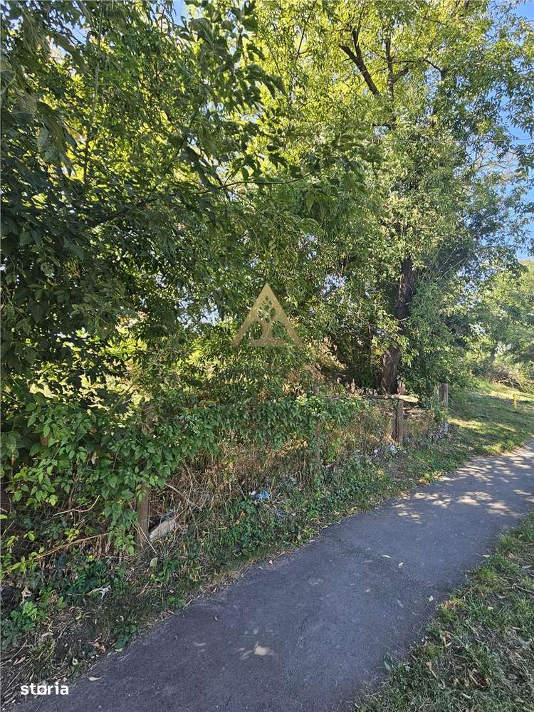 TEREN INTRAVILAN DE VANZARE ONESTI-7