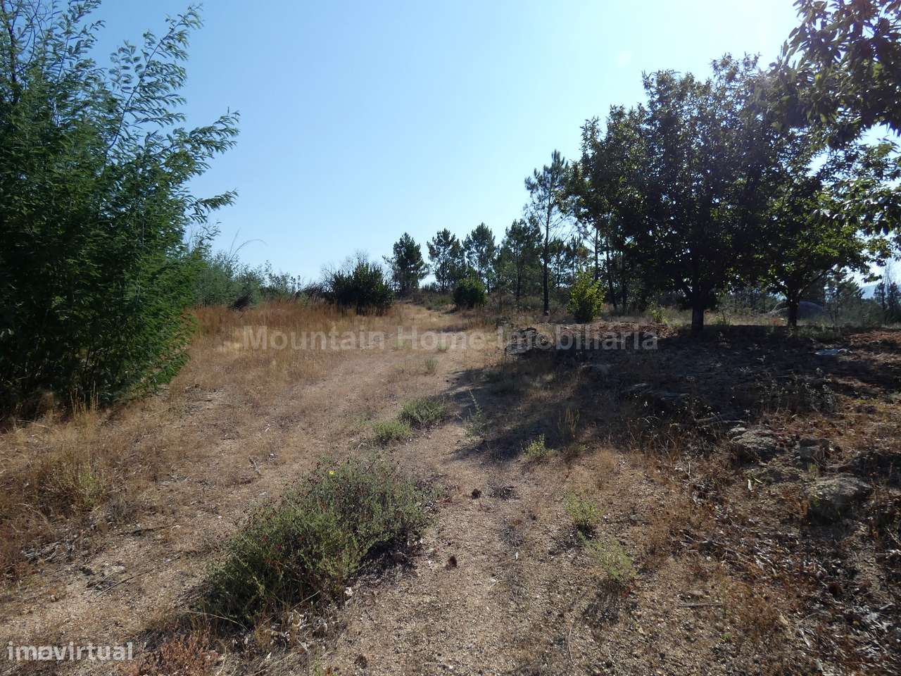 Terreno  Venda em Vila Nova de Tazem,Gouveia - Grande imagem: 5/7