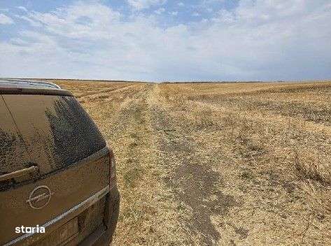 Teren Negureni, cota parte 1/8, ID: R2695094 - Imagine principală: 4/10