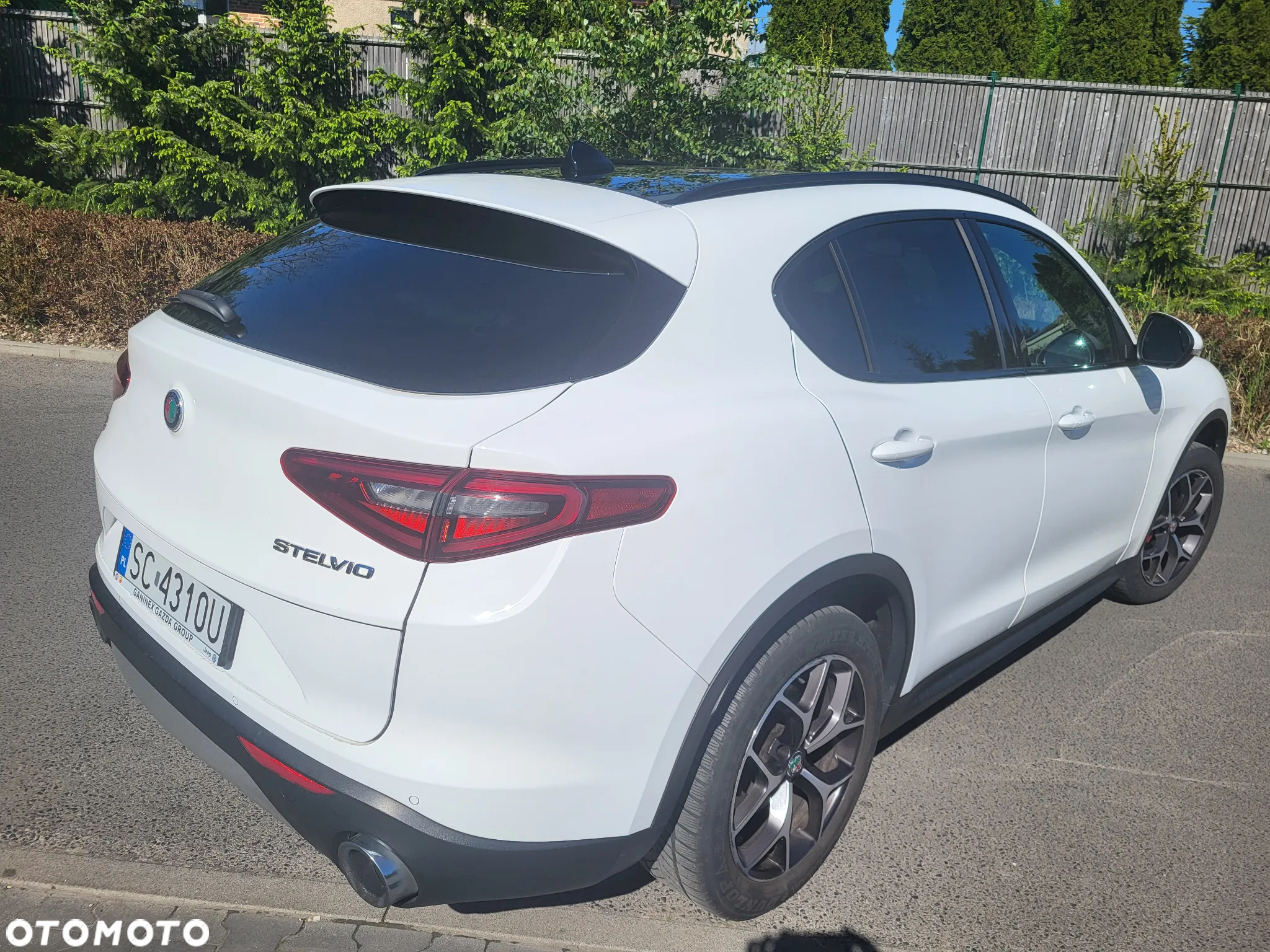 Alfa Romeo Stelvio 2.0 Turbo Executive Q4 - 20