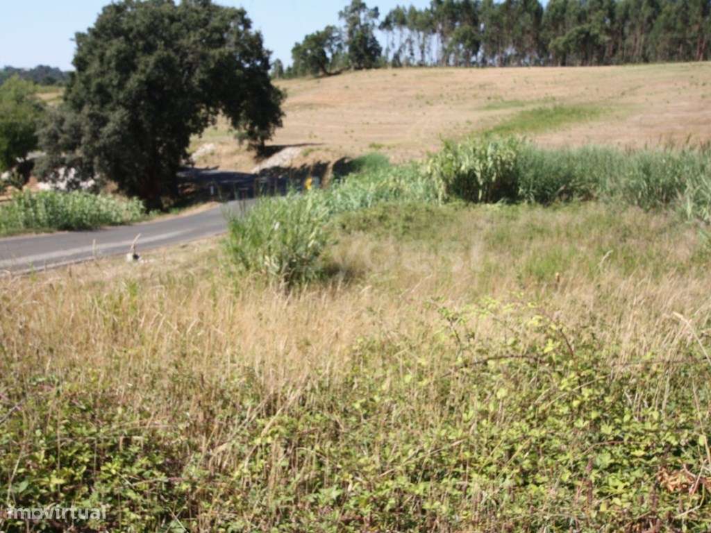 Terreno para construção em Casal do Rei - Rio Maior / Caldas da Rainha - Grande imagem: 5/16