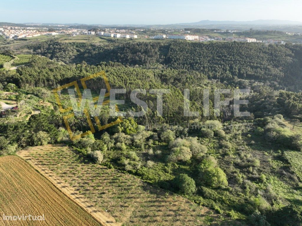 Terreno em Mafra - Terreno Rústico com 3562m2 localizado ...