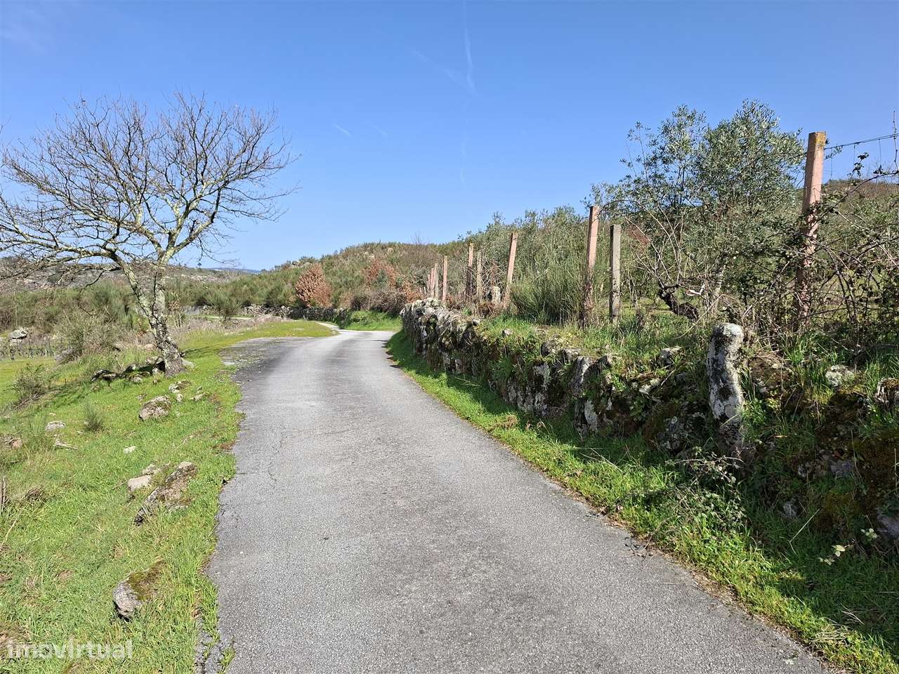 Quinta com 2Ha em Vila Cortês da Serra, Gouveia - Grande imagem: 4/25