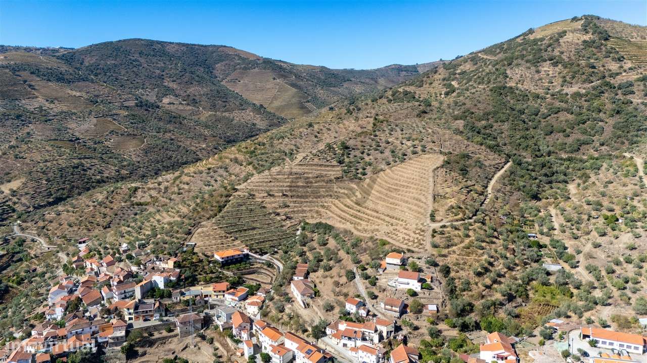 Quinta S. João da Pesqueira - Grande imagem: 3/51