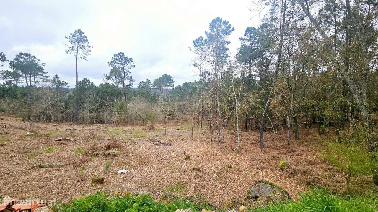 Terreno Construível em Viseu com Vista Panorâmica e Acesso Fácil - Grande imagem: 5/6