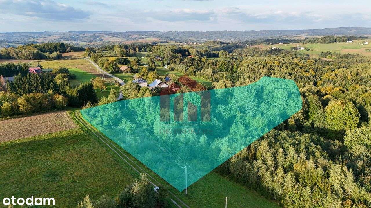 1,47 ha, Wz! dom w lesie? biznes? Jedyna taka!-0