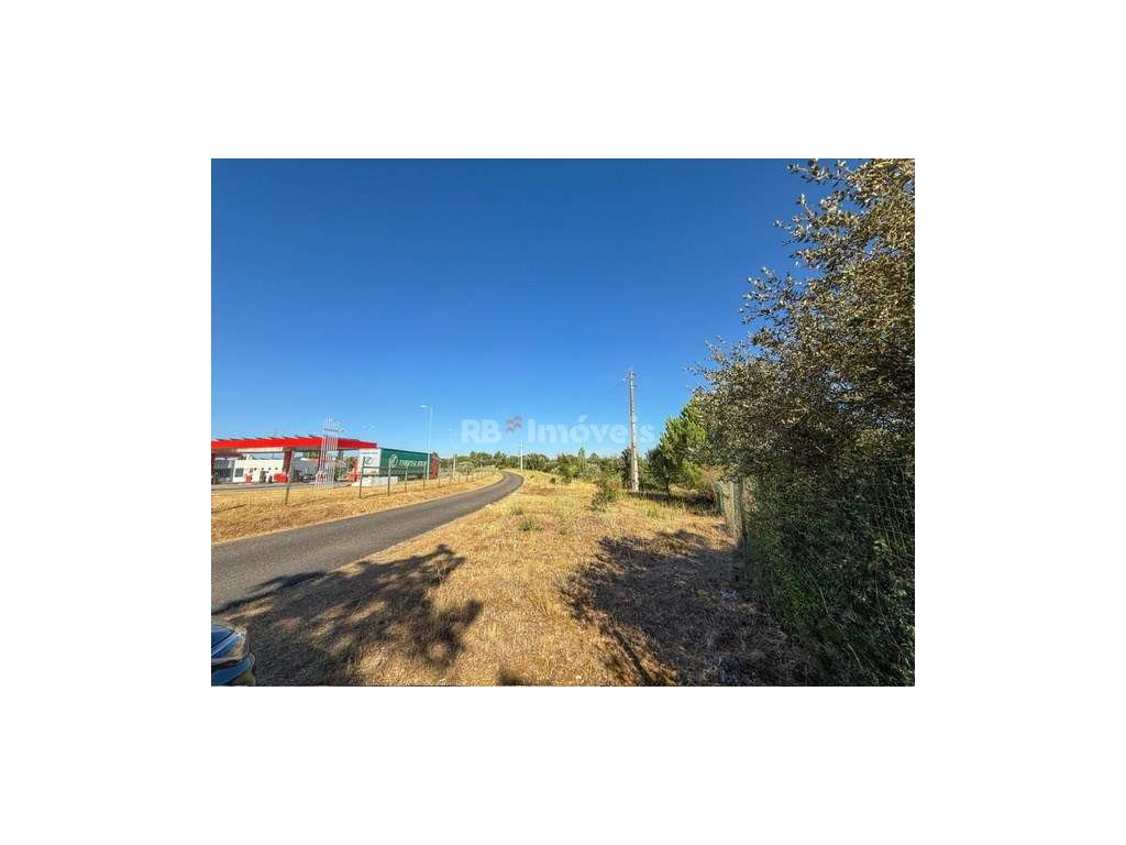 Terreno Rústico 6.120m² em Alferrarede Velha - Grande imagem: 4/14