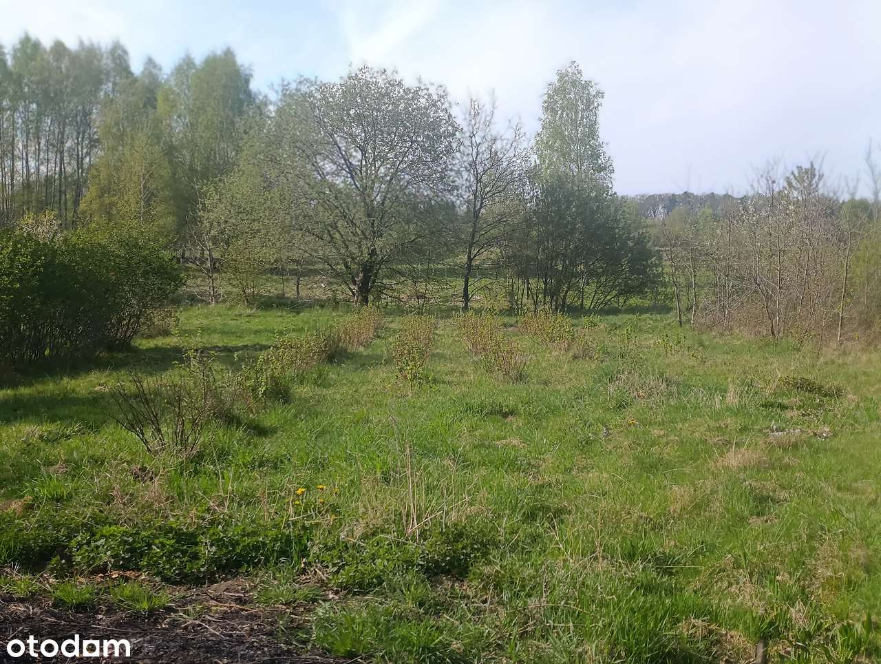 Gałęzinowo, gm. Redzikowo, działka nr 73/7, pow. 0,1325 ha - Pełny obrazek: 5/9