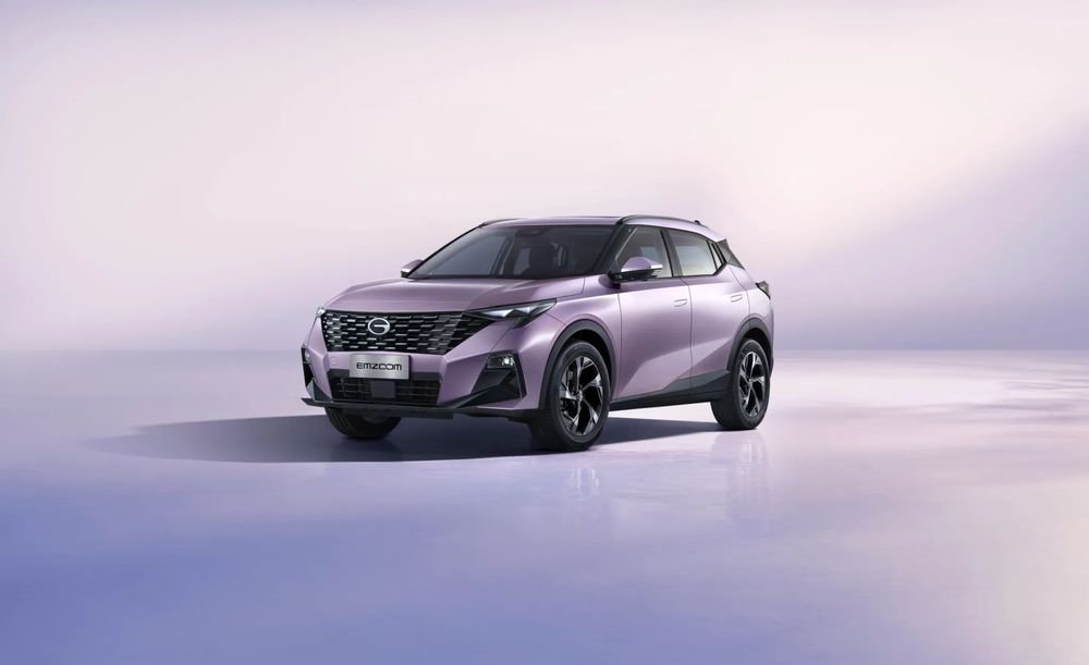 gac emzoom
