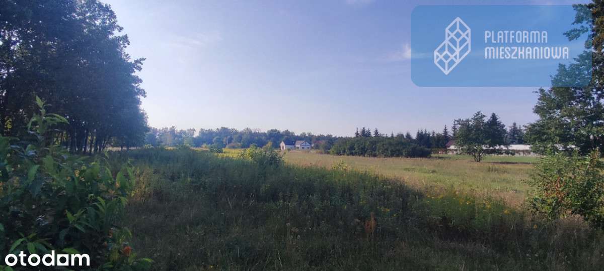 Działka 7000 m2, zab. jedn. , pod 8 bliźniaków - Pełny obrazek: 5/5