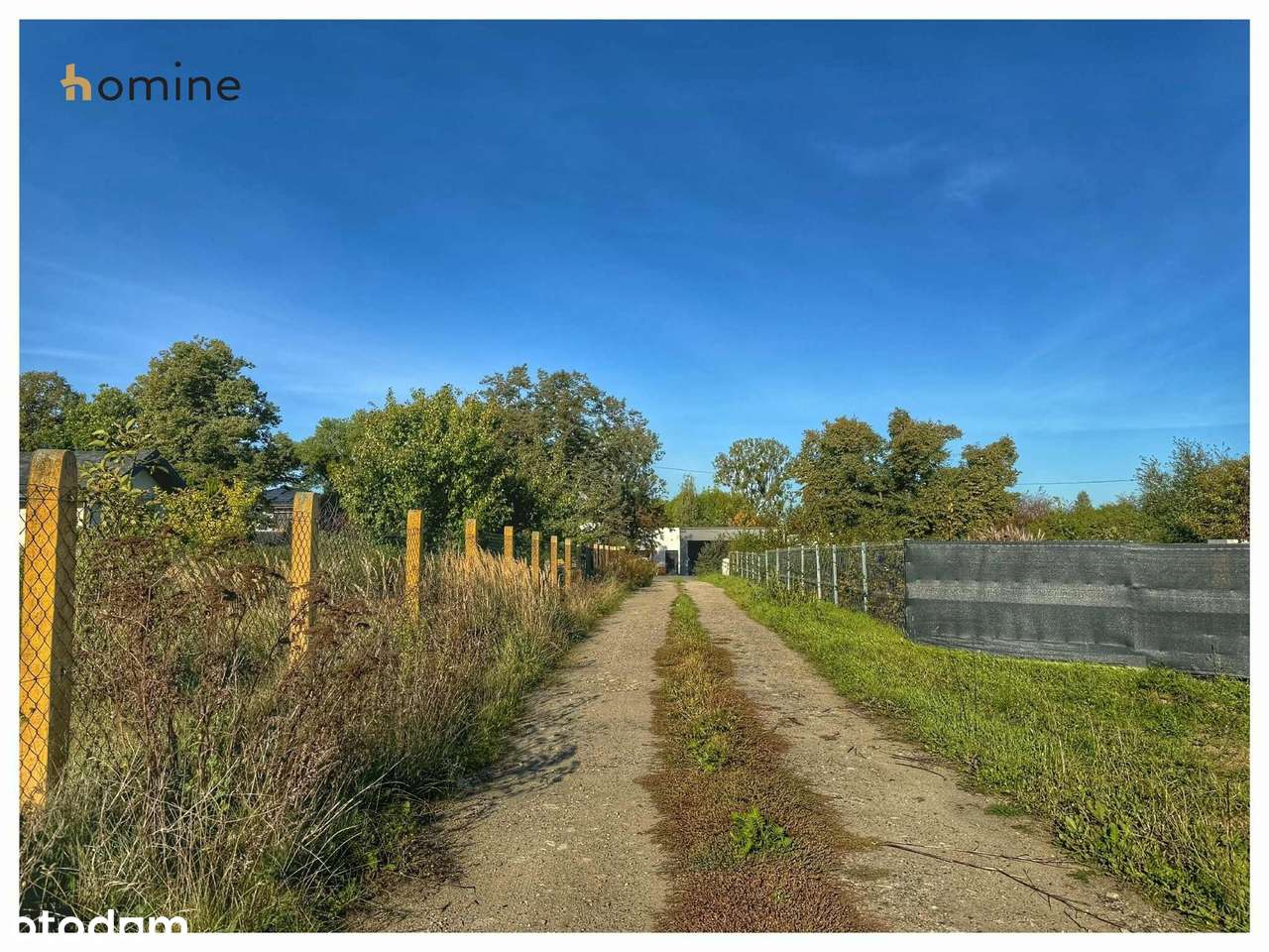 Działki z decyzją o warunkach zabudowy- Wieniec Zalesie - Pełny obrazek: 5/6