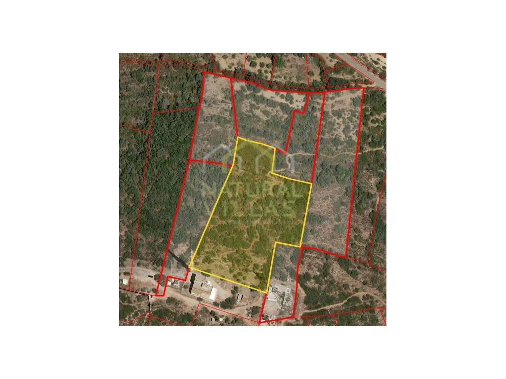 Terreno Rústico em São Miguel, Moncaracpho - Grande imagem: 4/4