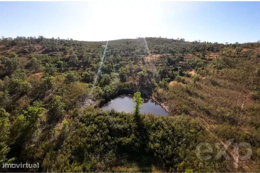 Excecional Herdade de 65 hectares no Alentejo com potencial de desenvo - Grande imagem: 4/48
