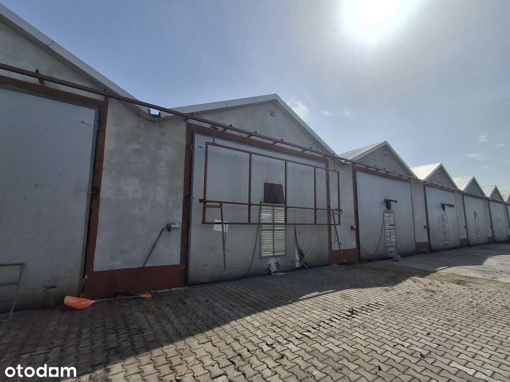 Nieruchomość po pieczarkarni/ Strusy/ Paprotnia - Pełny obrazek: 4/20