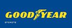 2x NOWA OPONA Letnia Goodyear EFFICIENTGRIP 245/45R18 100 Y XL rant ochronny wzmocnienie PROMOCJA - 6