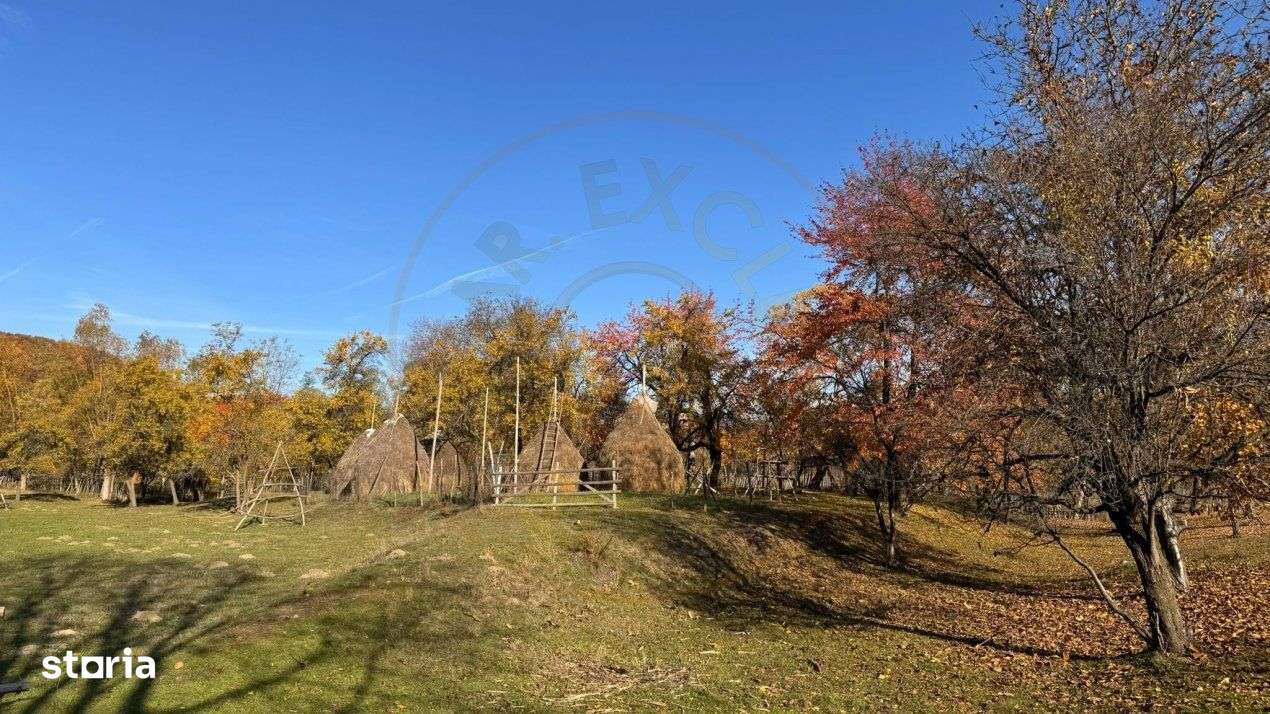 Teren Salatrucu - 7500 mp - Imagine principală: 4/8