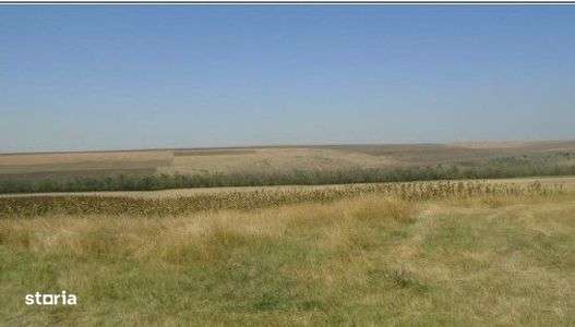 Teren Extravilan cota parte 1/4, Varlezi, ID: R2730256 - Imagine principală: 1/8