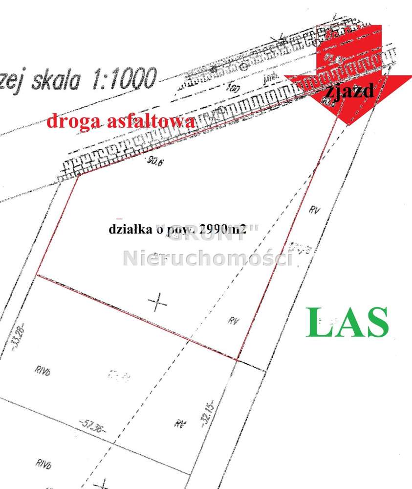 Działka z warunkami zabudowy w Pleceminie - Pełny obrazek: 4/6