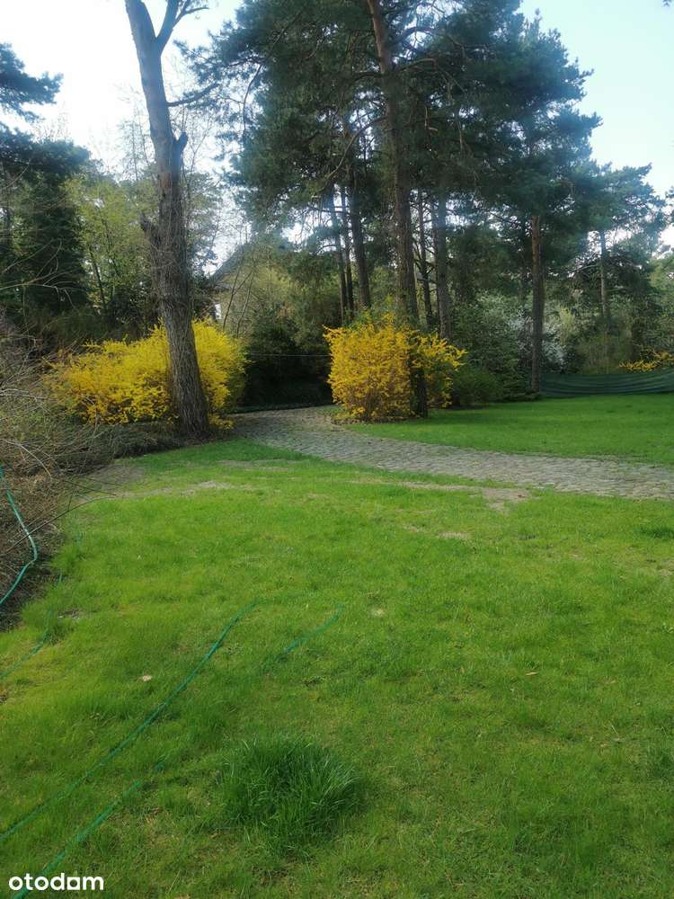 Działka budowlana w Józefowie ul. Wąska-5