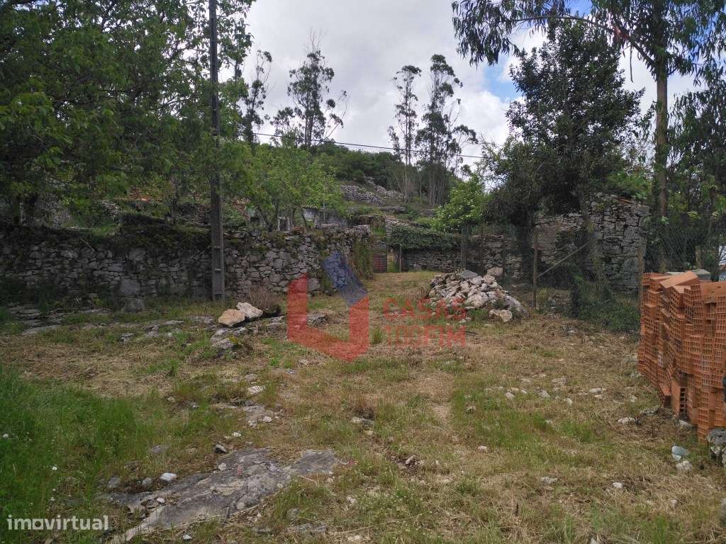 Moradia terrea em pedra por recuperar na serra em Porto de Mós. - Grande imagem: 3/24