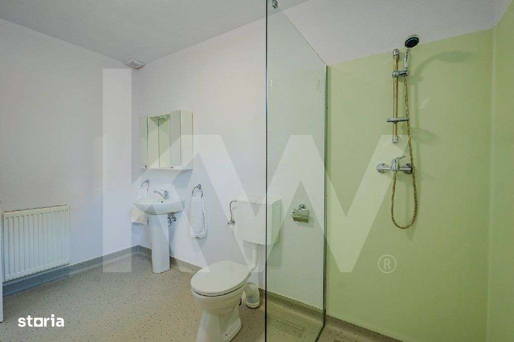 Investitie ideala: Camin privat pentru seniori, functional, Sebes-Alba - Imagine principală: 5/16