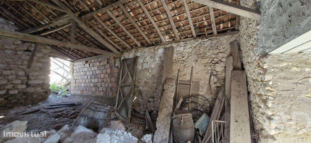 Quinta T3 em Almoster de 2364,00 m2 - Grande imagem: 5/30