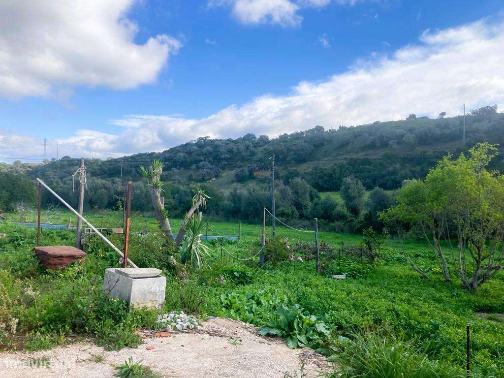 Casinha dos Avós a 10 minutos da Meia Praia, M. Grande, Portimão - Grande imagem: 4/15